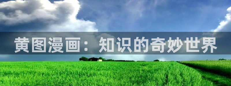 成人黄色51漫画网站：黄图漫画：知识的奇妙世界
