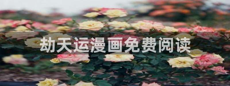 51漫画漫画免费观看全部：劫天运漫画免费阅读