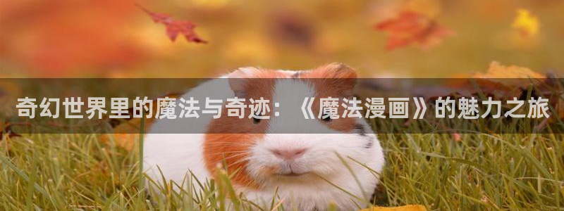 漫画画免费读漫画下拉式土豪漫画51漫画：奇幻世界里的魔法与奇迹：《魔法漫画》的魅力之旅