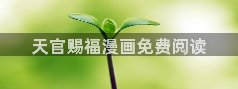 51漫画美丽新世界土豪漫画：天官赐福漫画免费阅读