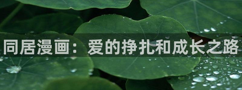 免费51漫画在线观看完整版：同居漫画：爱的挣扎和成长之路