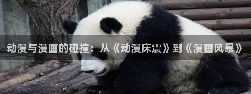 免费漫画观看51漫画：动漫与漫画的碰撞：从《动漫床震》到《漫画风暴》