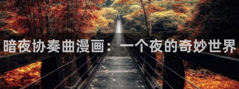 歪歪51漫画在线入口：暗夜协奏曲漫画：一个夜的奇妙世界