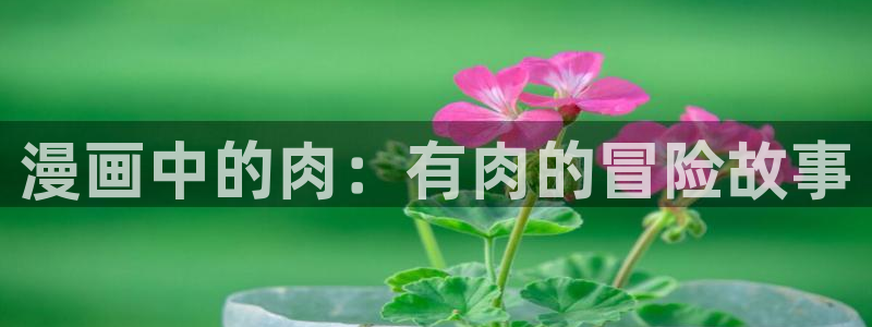 51漫画涩涩网站