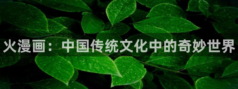 51漫画漫画免费下拉式漫画