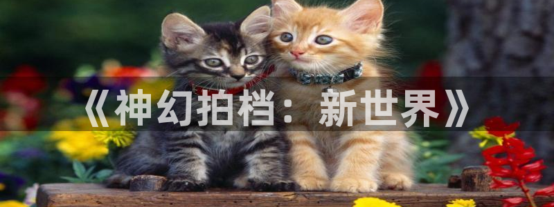 51漫画mignon全集免费观看