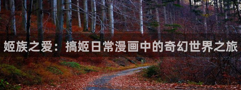 51漫画免费网站推荐