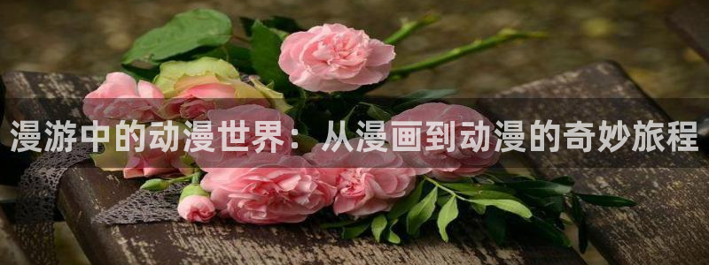 51漫画网站在线观看免费大全漫画